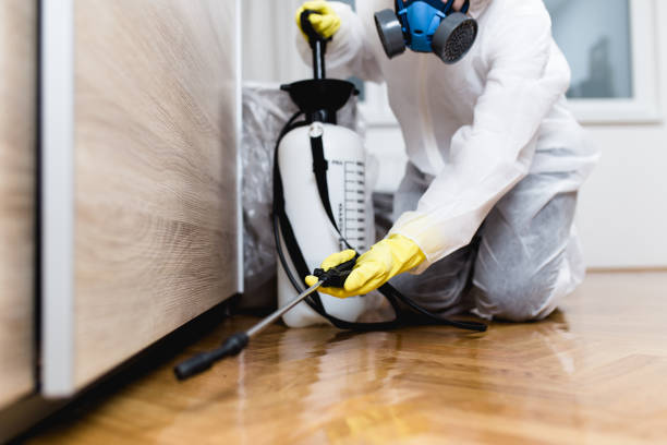 Best Wasp Removal Services  in Roselle, NJ