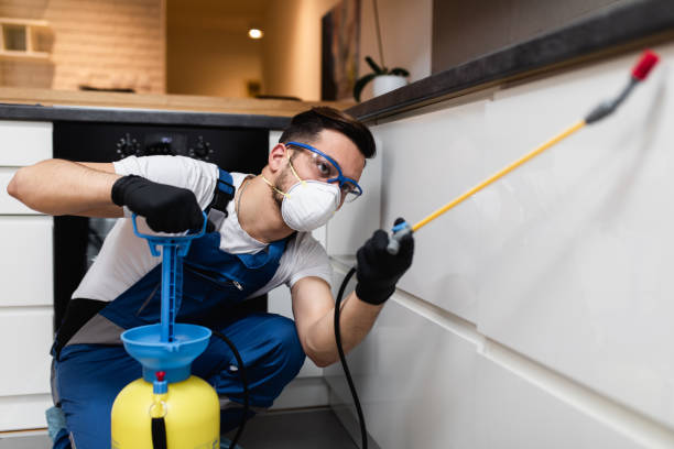 Best Pest Inspection Near Me  in Roselle, NJ