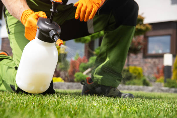 Best Mosquito Control Services  in Roselle, NJ