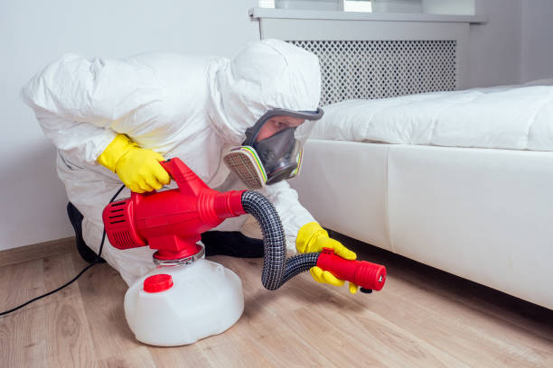 Best Termite Control Services  in Roselle, NJ