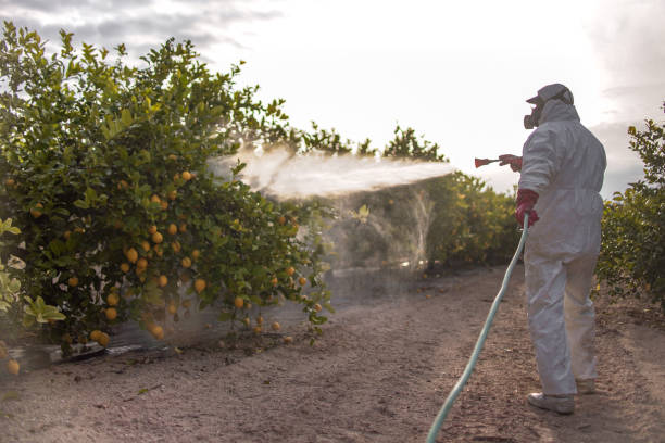 Best Residential Pest Control  in Roselle, NJ