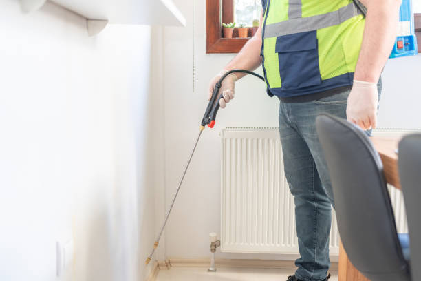 Best Affordable Pest Control Services  in Roselle, NJ