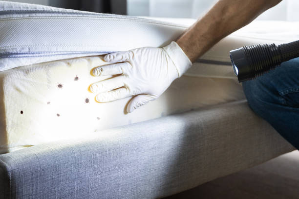 Best Exterminator Services  in Roselle, NJ