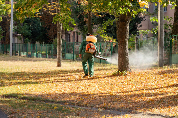Trusted Roselle, NJ Pest Control Experts