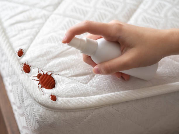 Best Bed Bug Extermination  in Roselle, NJ