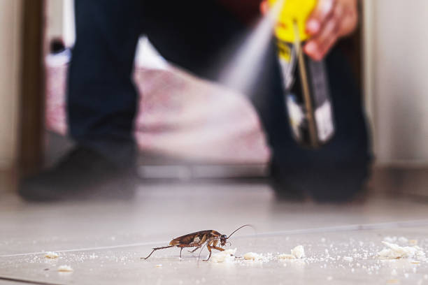Best Pest Removal Services  in Roselle, NJ
