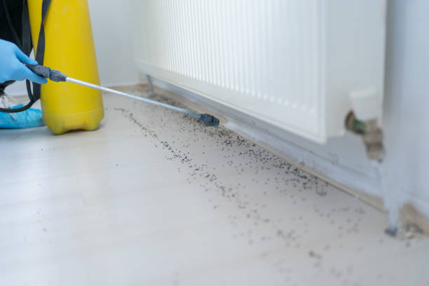 Best Rat Extermination Near Me  in Roselle, NJ