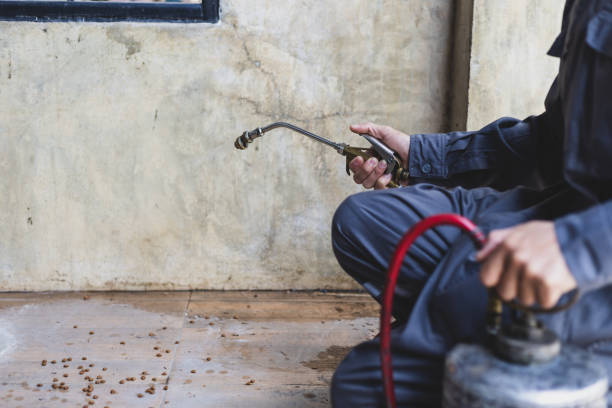 Best Local Pest Control Services  in Roselle, NJ