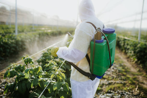 Best Pest Control Near Me in Roselle, NJ
